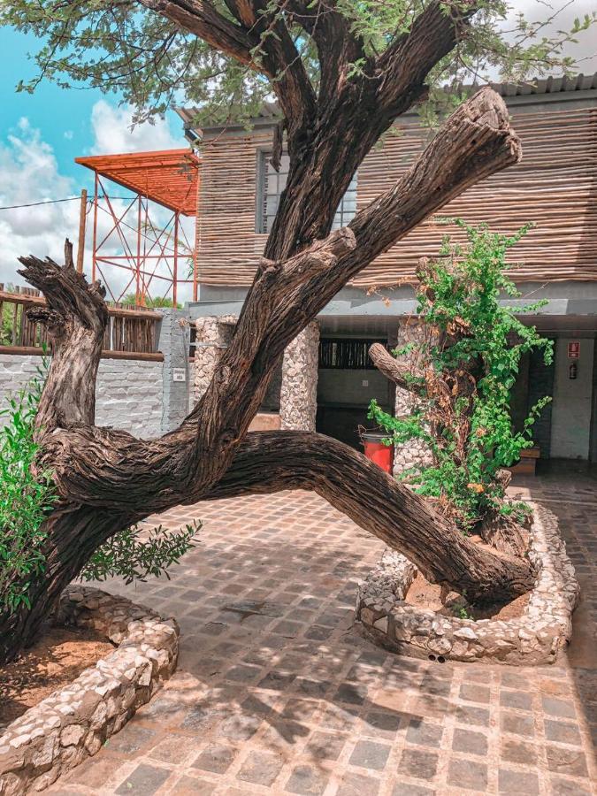Nkisi Guesthouse Kang Dış mekan fotoğraf